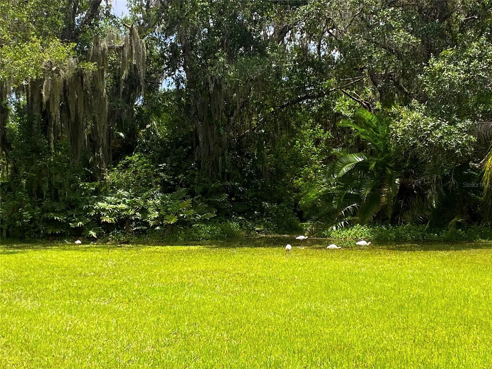 Sarasota FL 34243