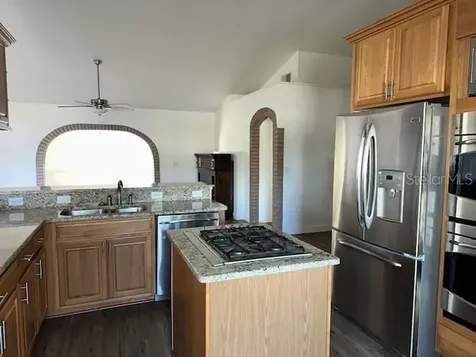 233 Via Del Sol Drive Davenport FL 33896