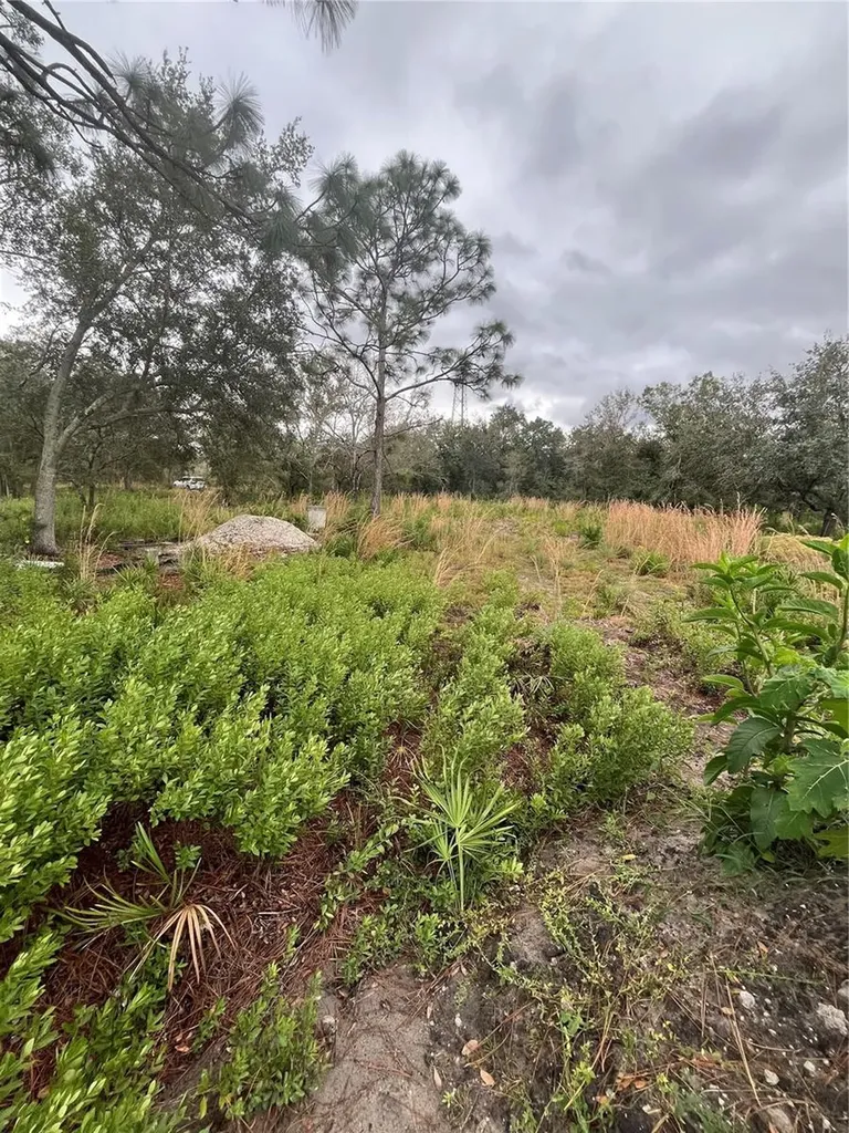 4683 SE Rye Avenue Arcadia FL 34266