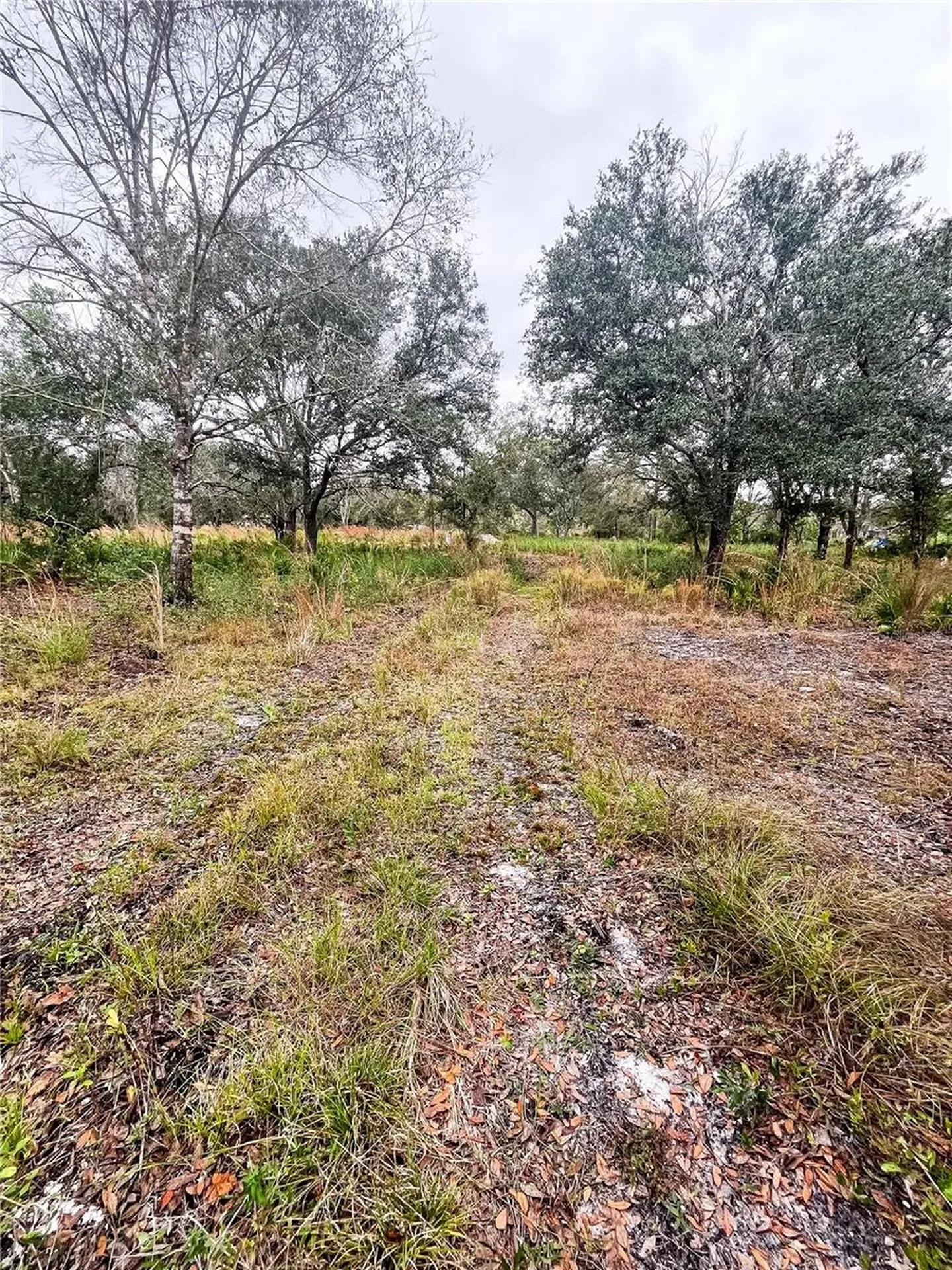 4683 SE Rye Avenue Arcadia FL 34266