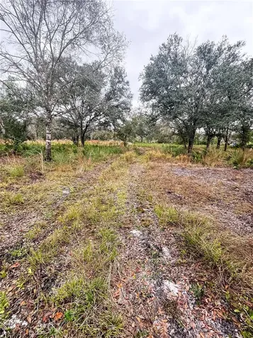 4683 SE Rye Avenue Arcadia FL 34266