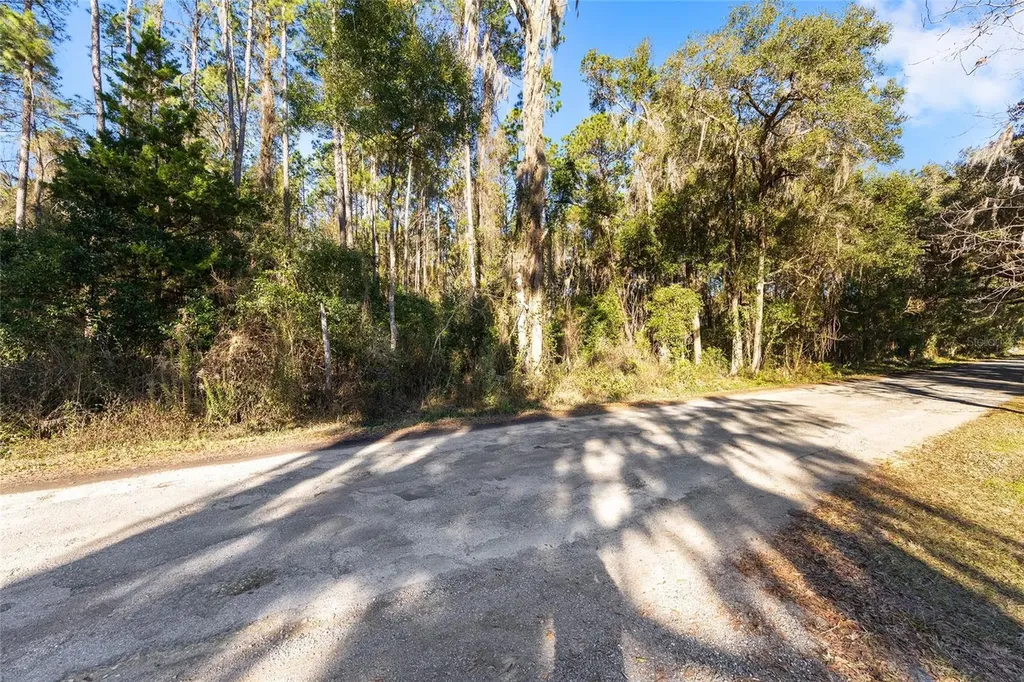 Tbd SW 125th Avenue Ocala FL 34481