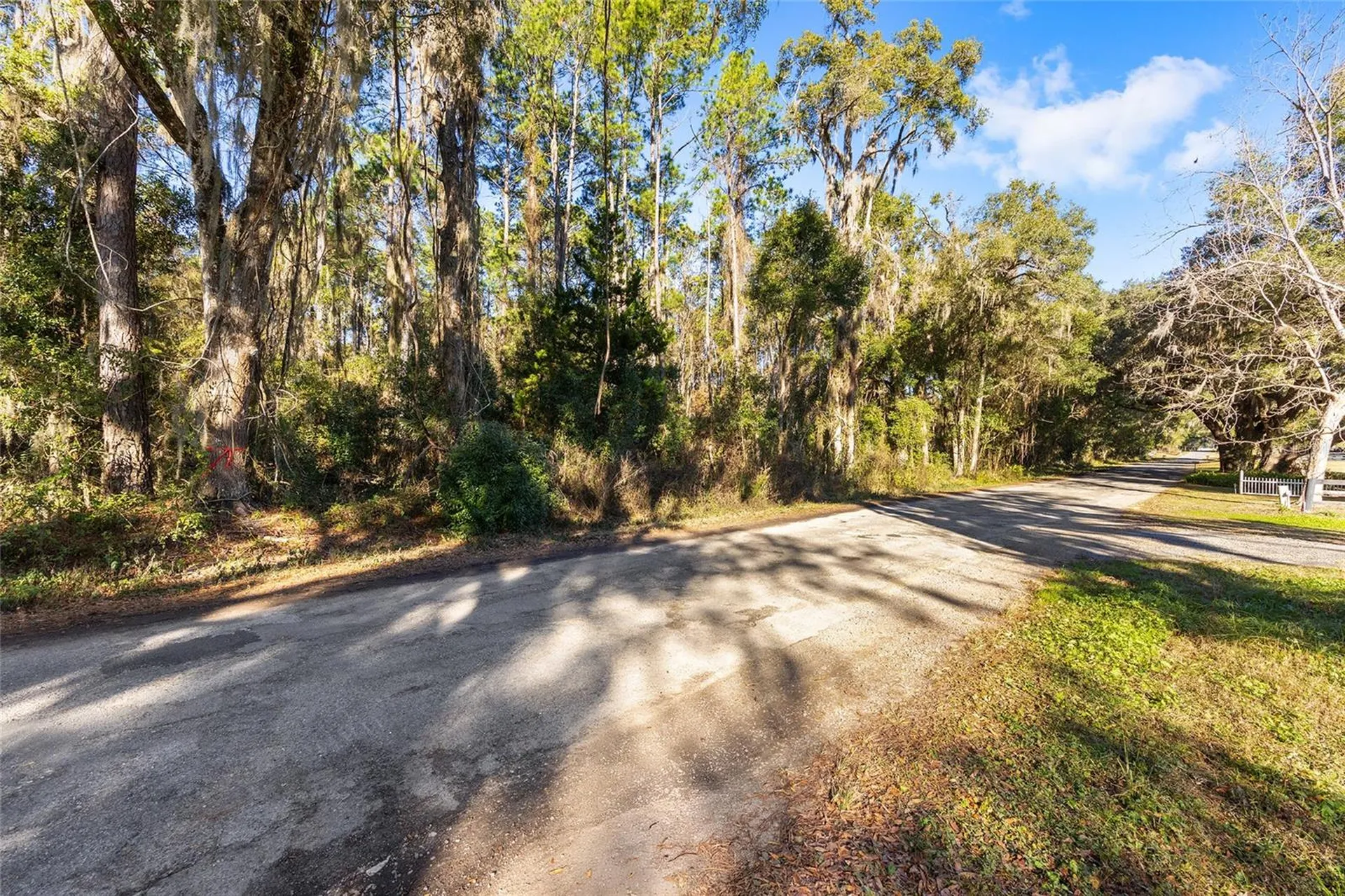 Tbd SW 125th Avenue Ocala FL 34481