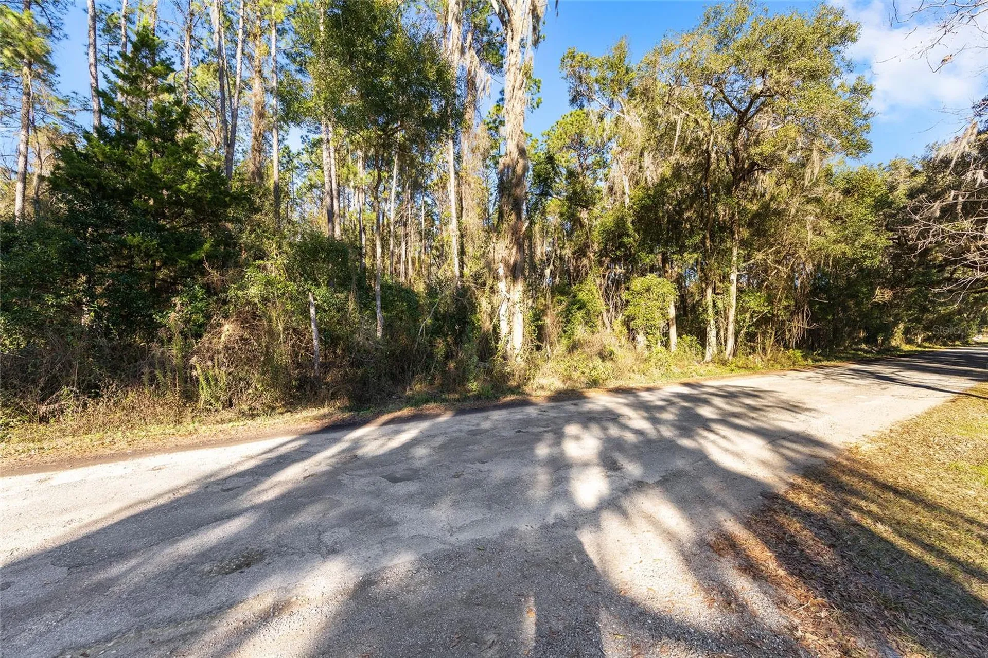 Tbd SW 125th Avenue Ocala FL 34481
