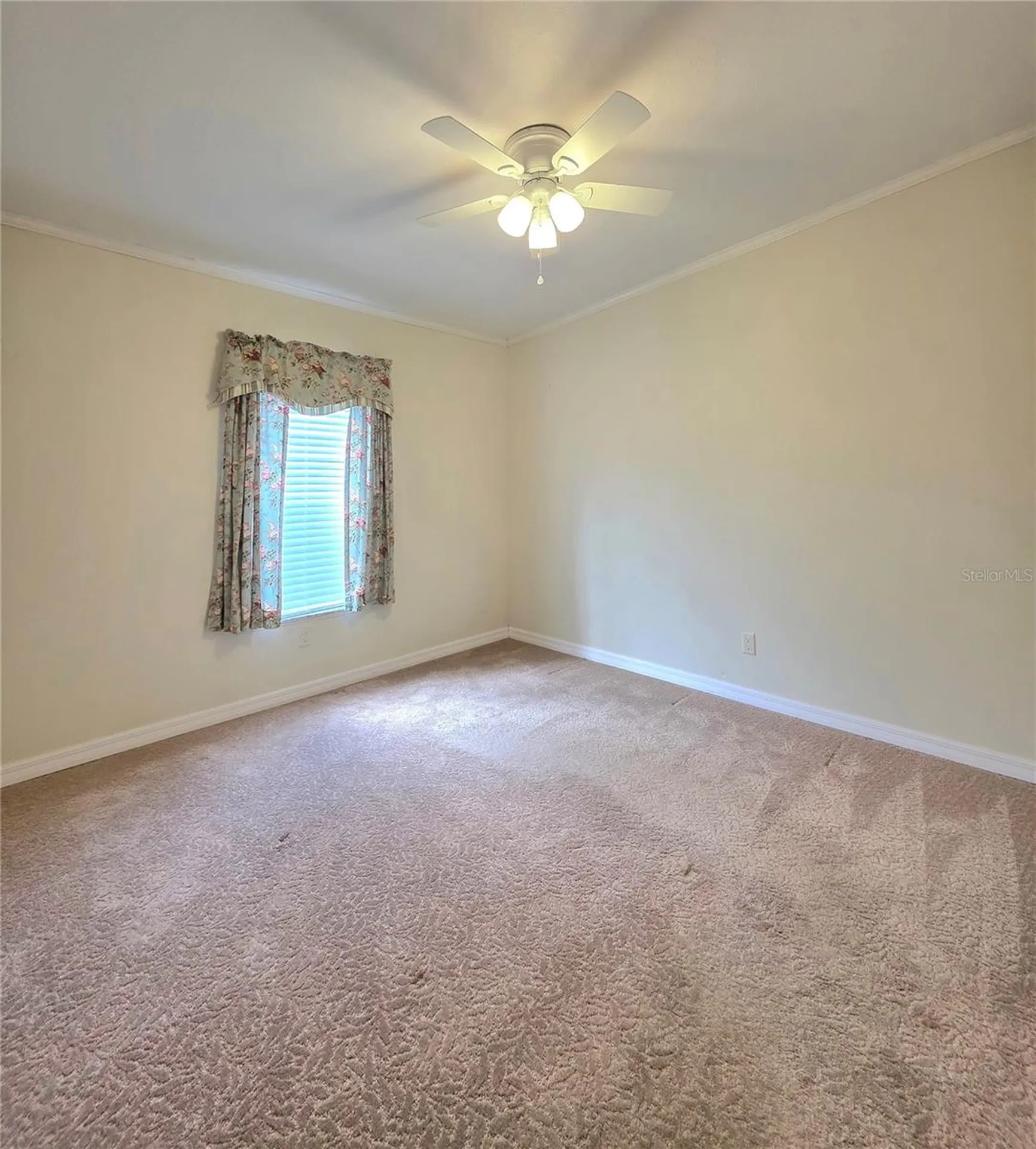 37407 Sandra Avenue Zephyrhills FL 33542
