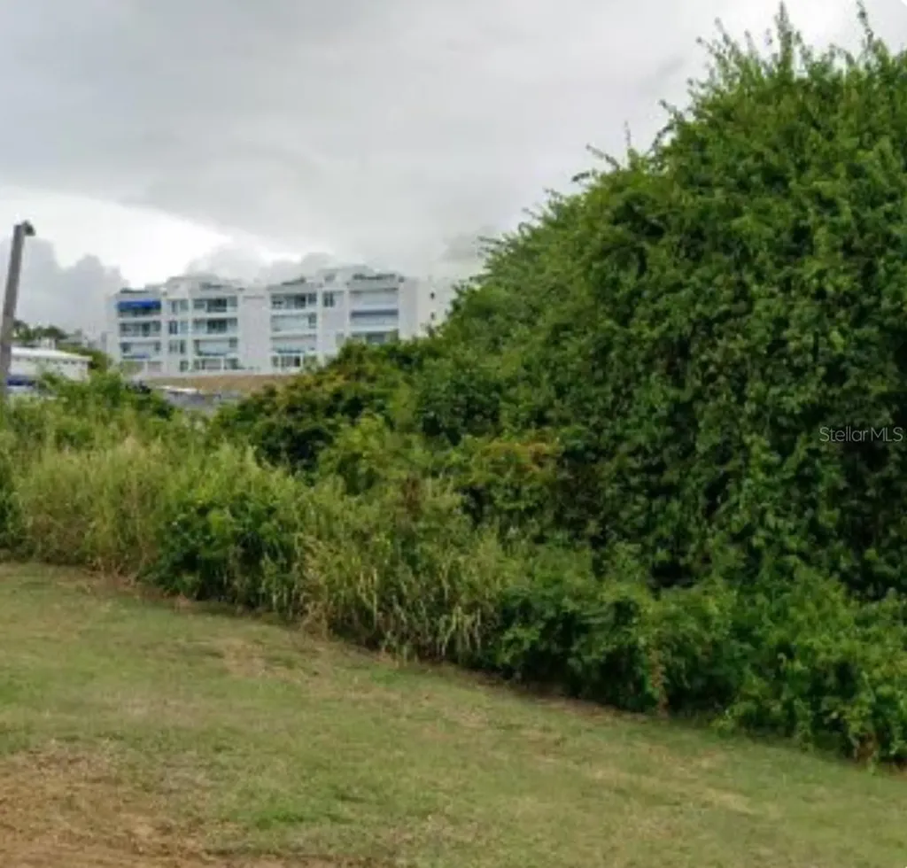 Lot 1 Calle Robles Barrio Las Cabezas Fajardo PR 00738