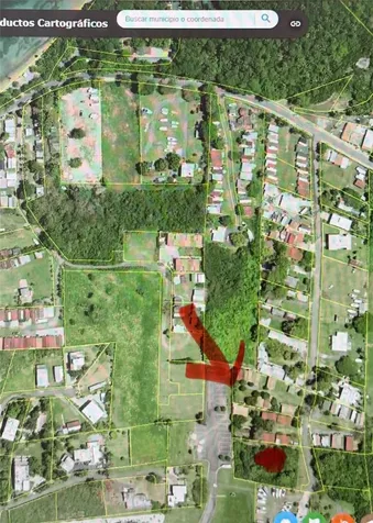 Lot 1 Calle Robles Barrio Las Cabezas Fajardo PR 00738