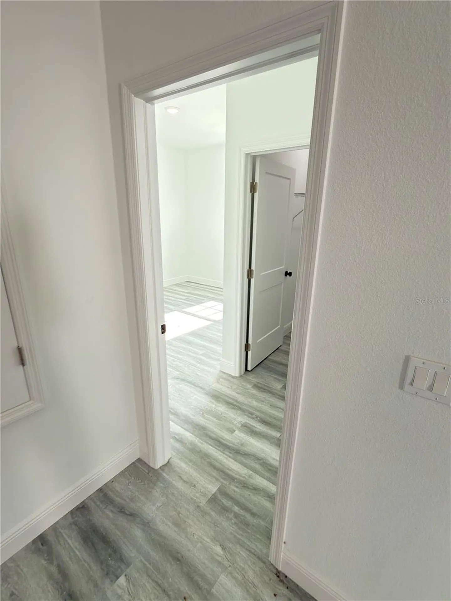 3901 SW 161st Loop Ocala FL 34473
