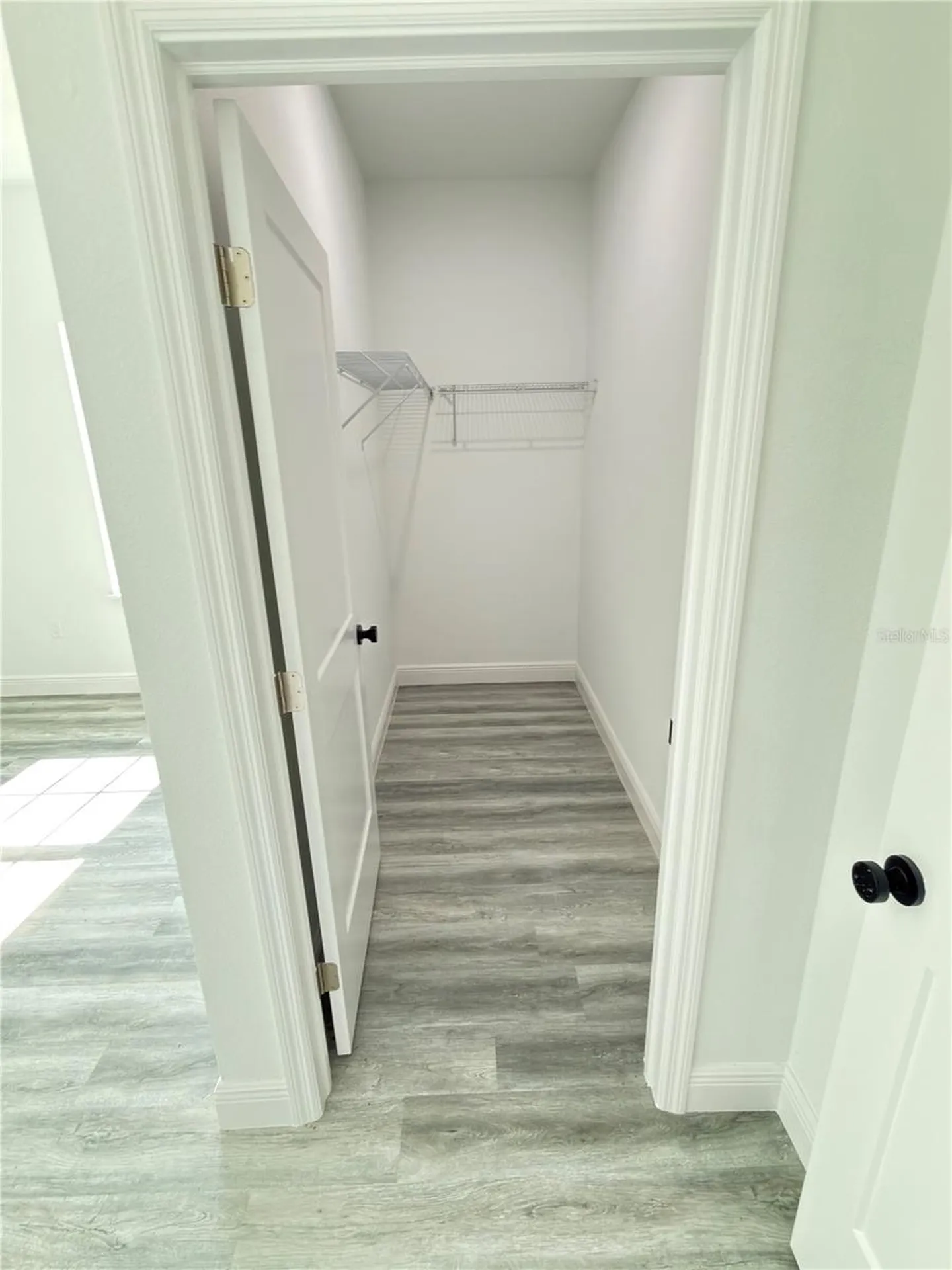 3901 SW 161st Loop Ocala FL 34473