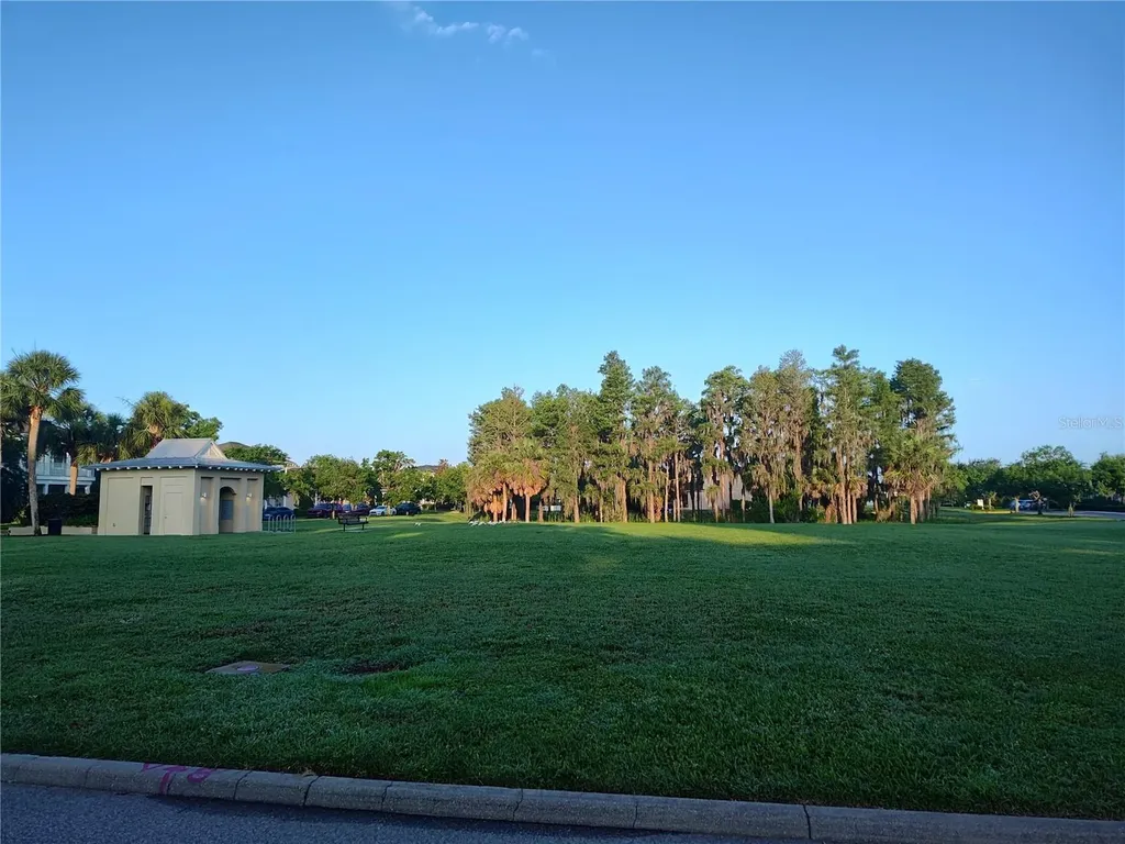 3618 Buffett Street New Port Richey FL 34655