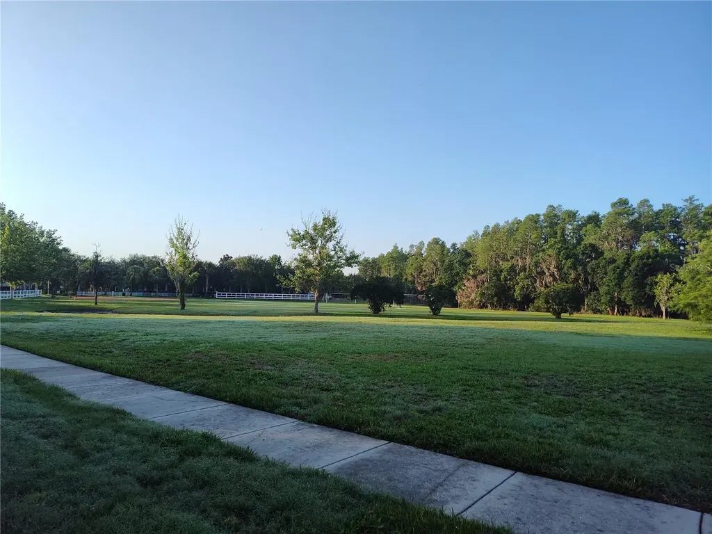 3618 Buffett Street New Port Richey FL 34655
