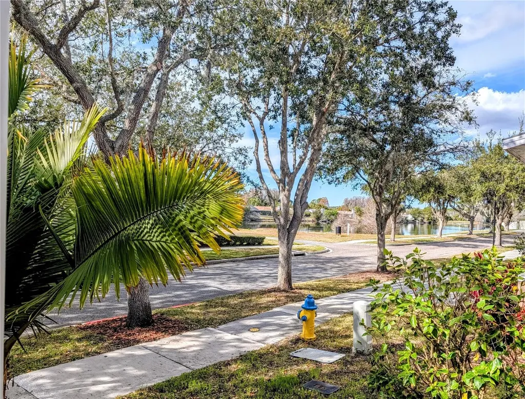 3618 Buffett Street New Port Richey FL 34655