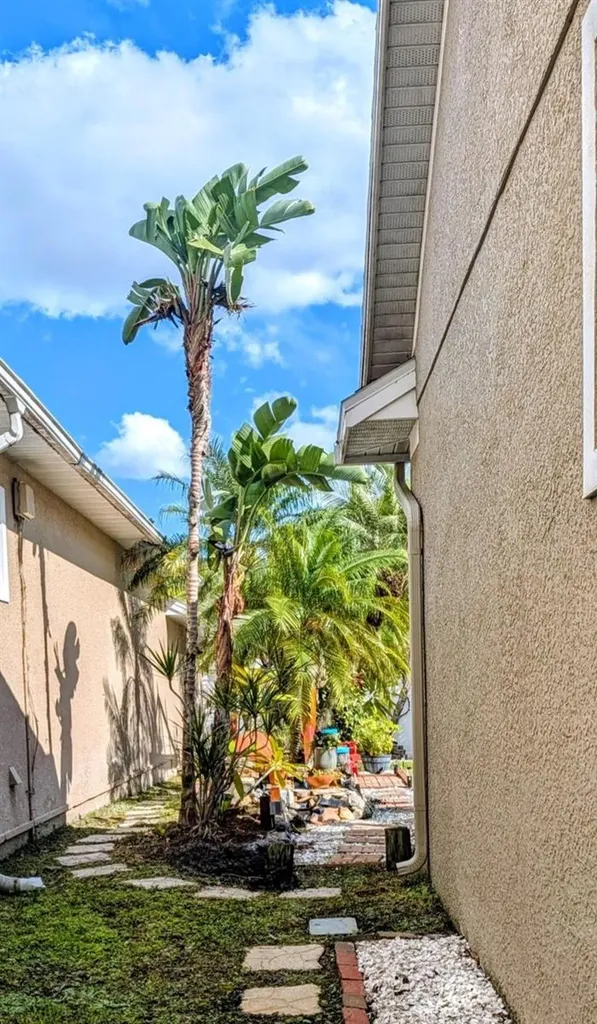 3618 Buffett Street New Port Richey FL 34655