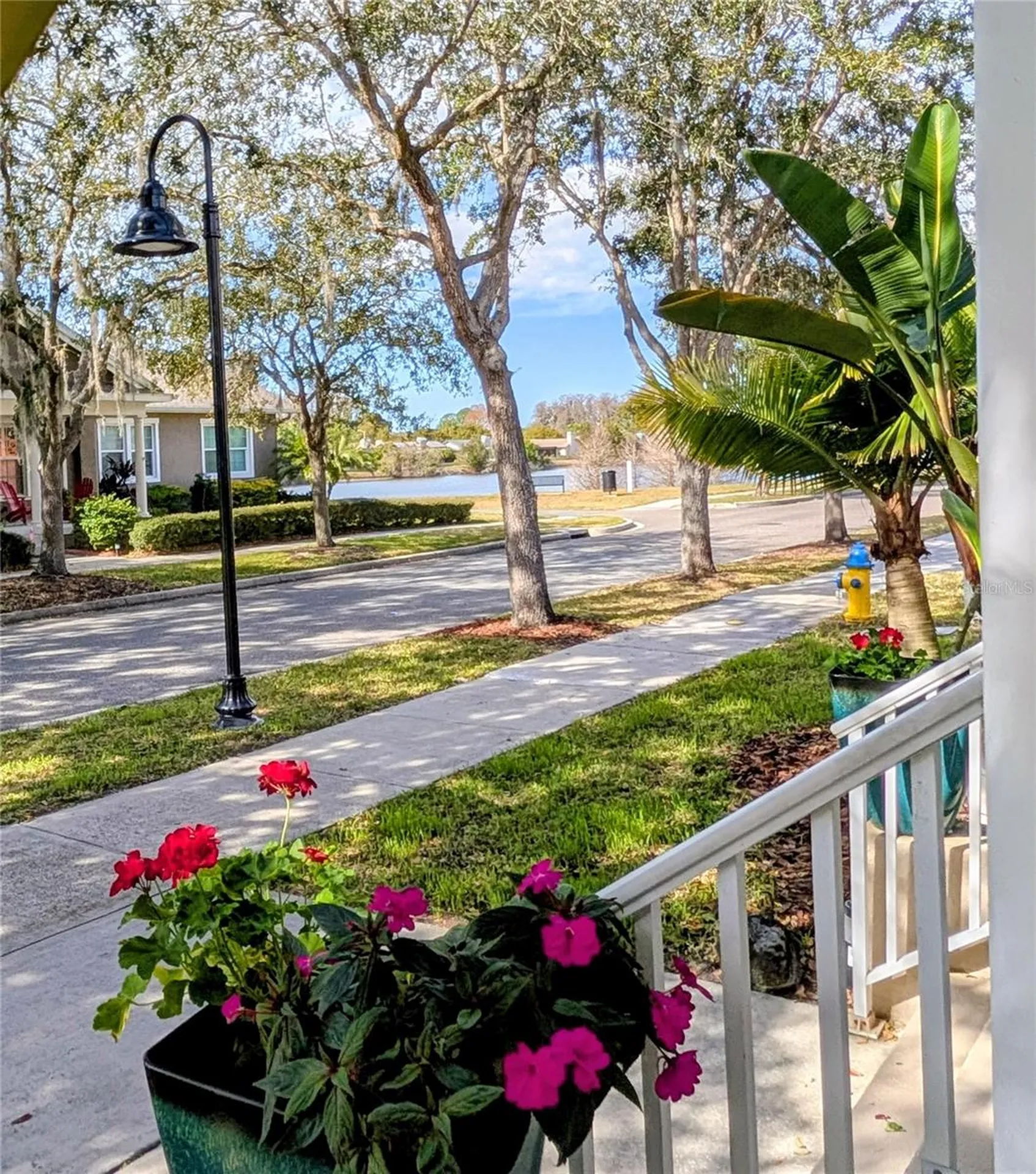 3618 Buffett Street New Port Richey FL 34655