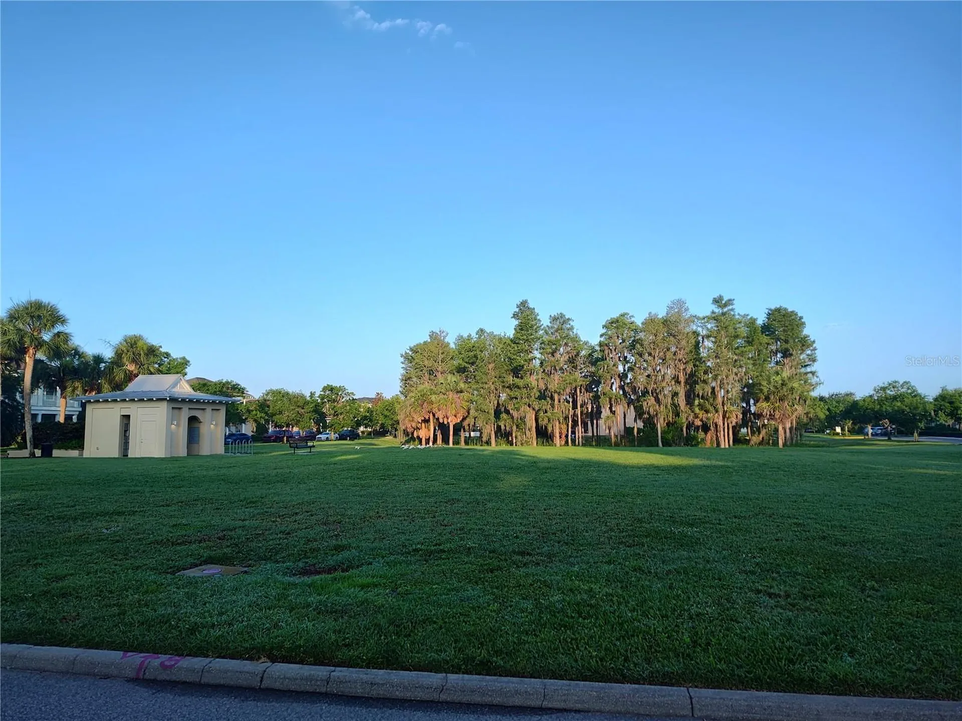 3618 Buffett Street New Port Richey FL 34655
