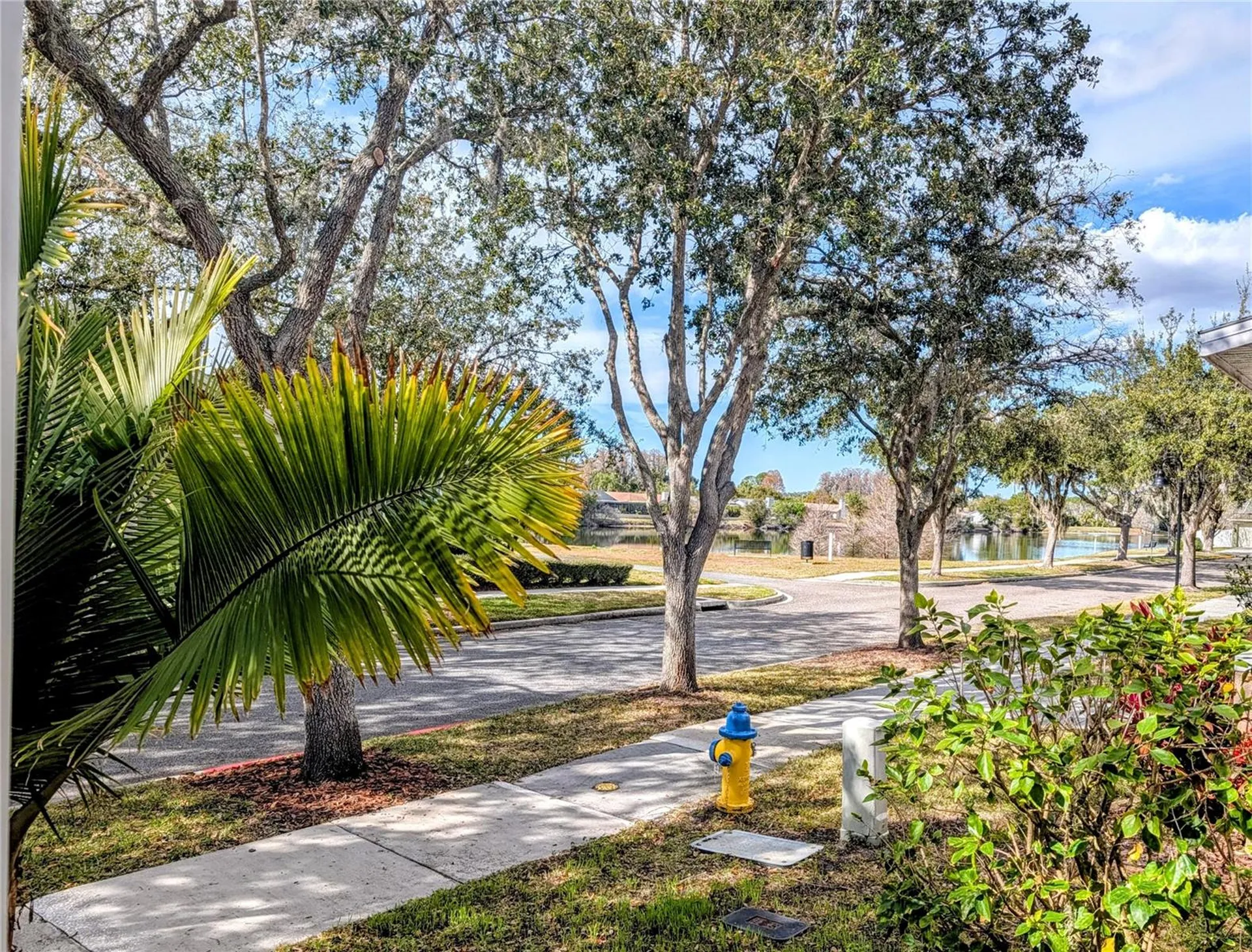 3618 Buffett Street New Port Richey FL 34655