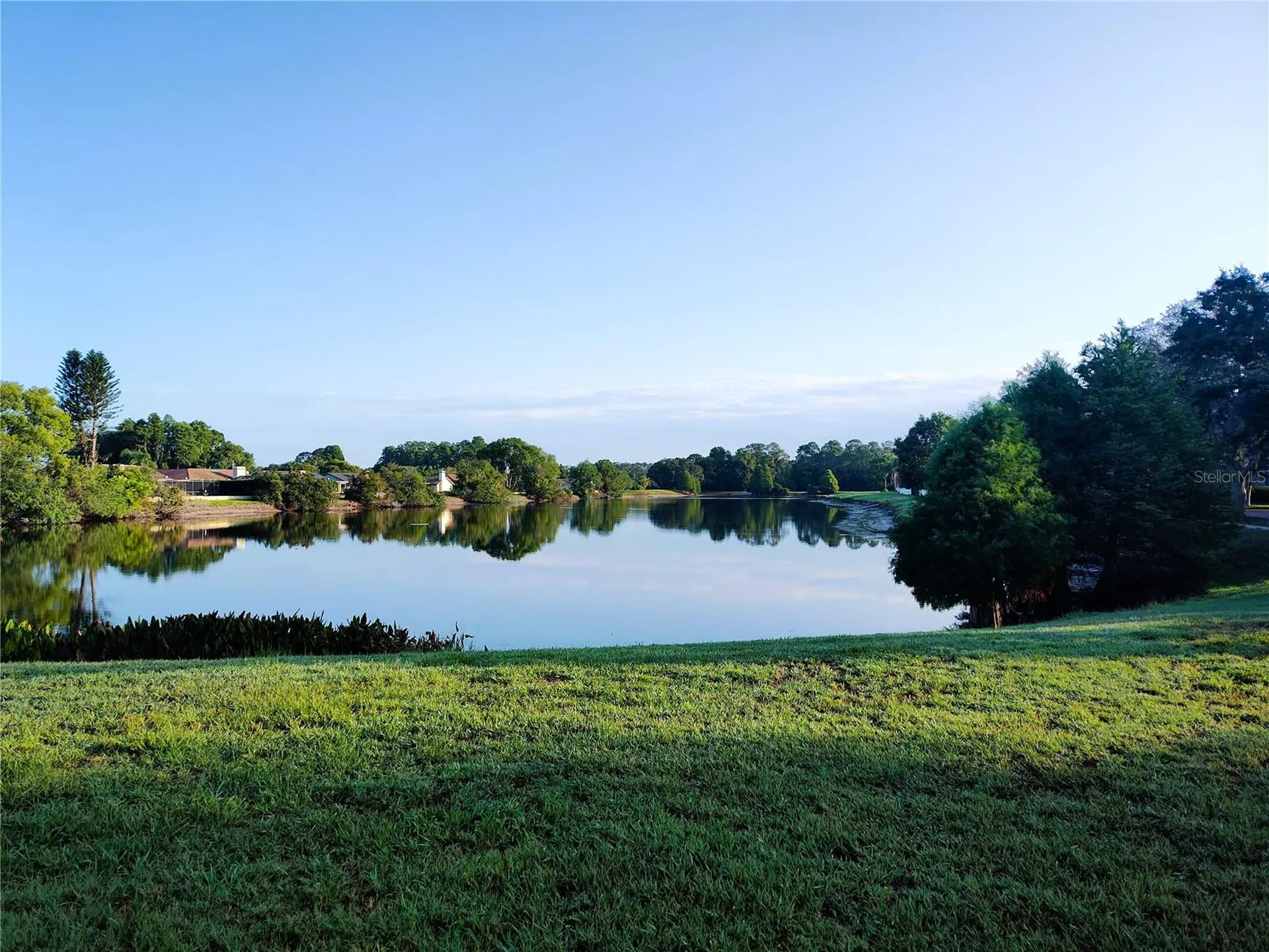 3618 Buffett Street New Port Richey FL 34655