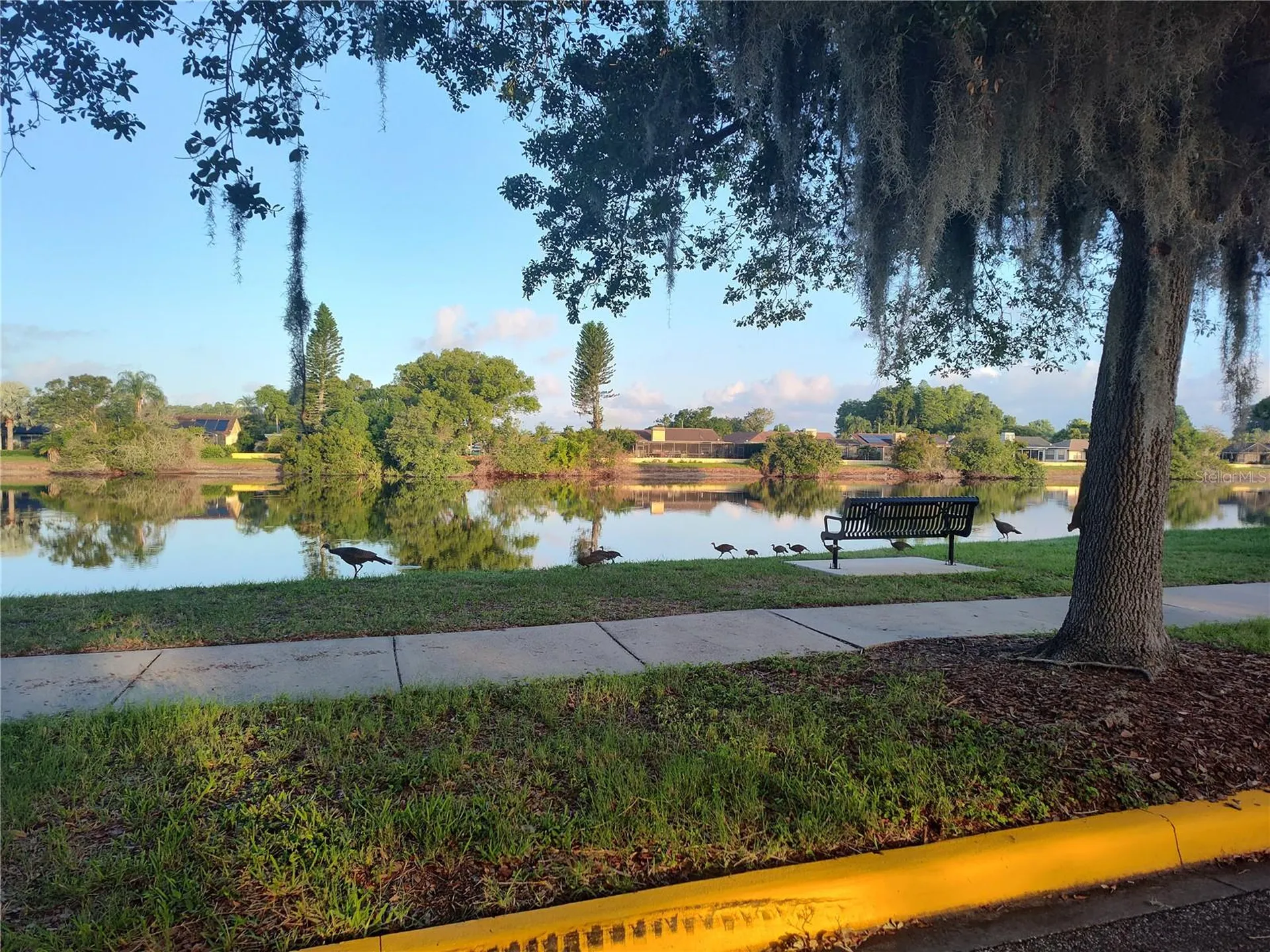 3618 Buffett Street New Port Richey FL 34655