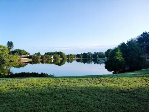 3618 Buffett Street New Port Richey FL 34655