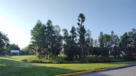 3618 Buffett Street New Port Richey FL 34655