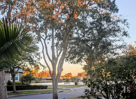 3618 Buffett Street New Port Richey FL 34655
