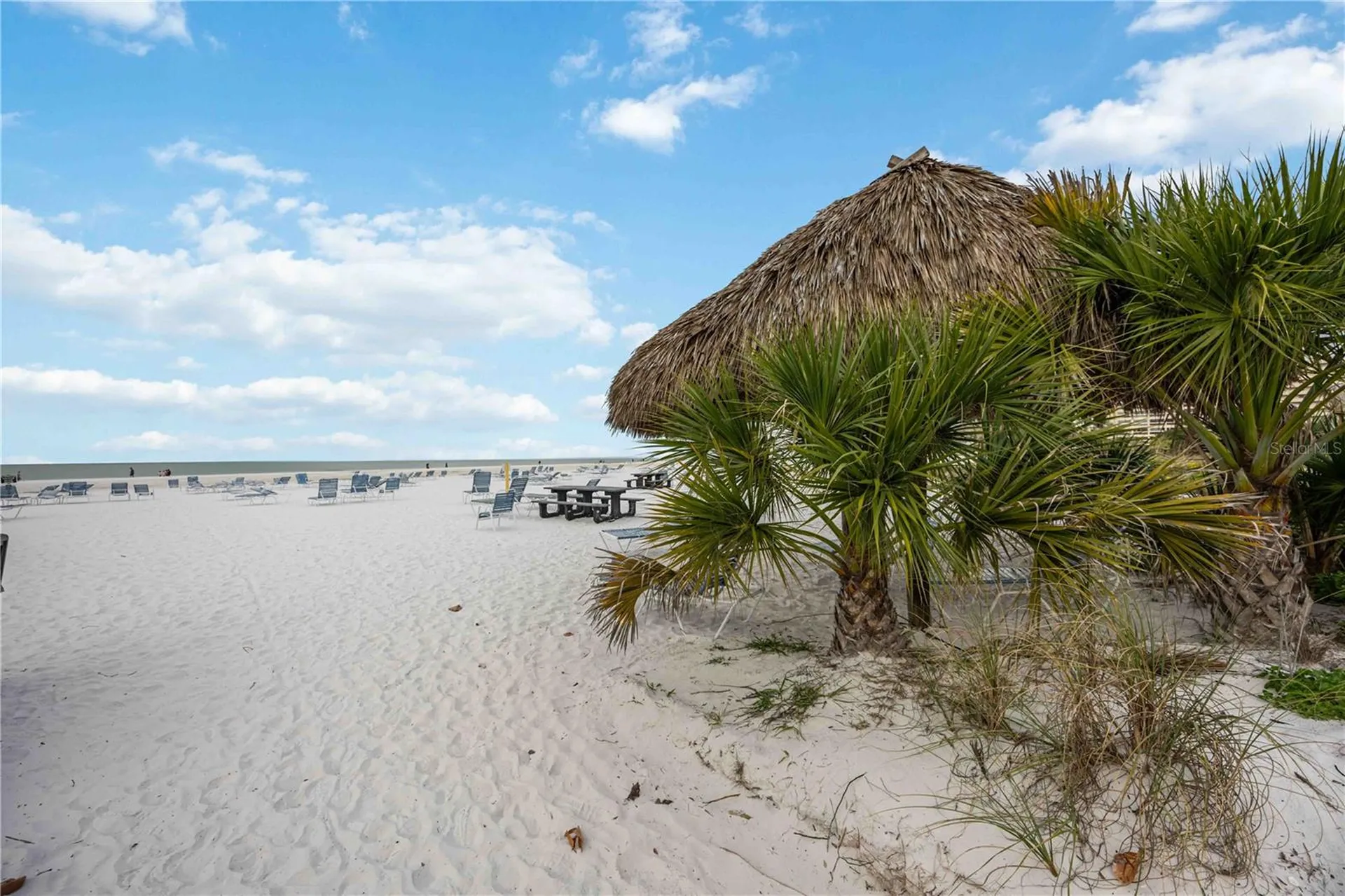 1166 W Peppertree Drive Sarasota FL 34242