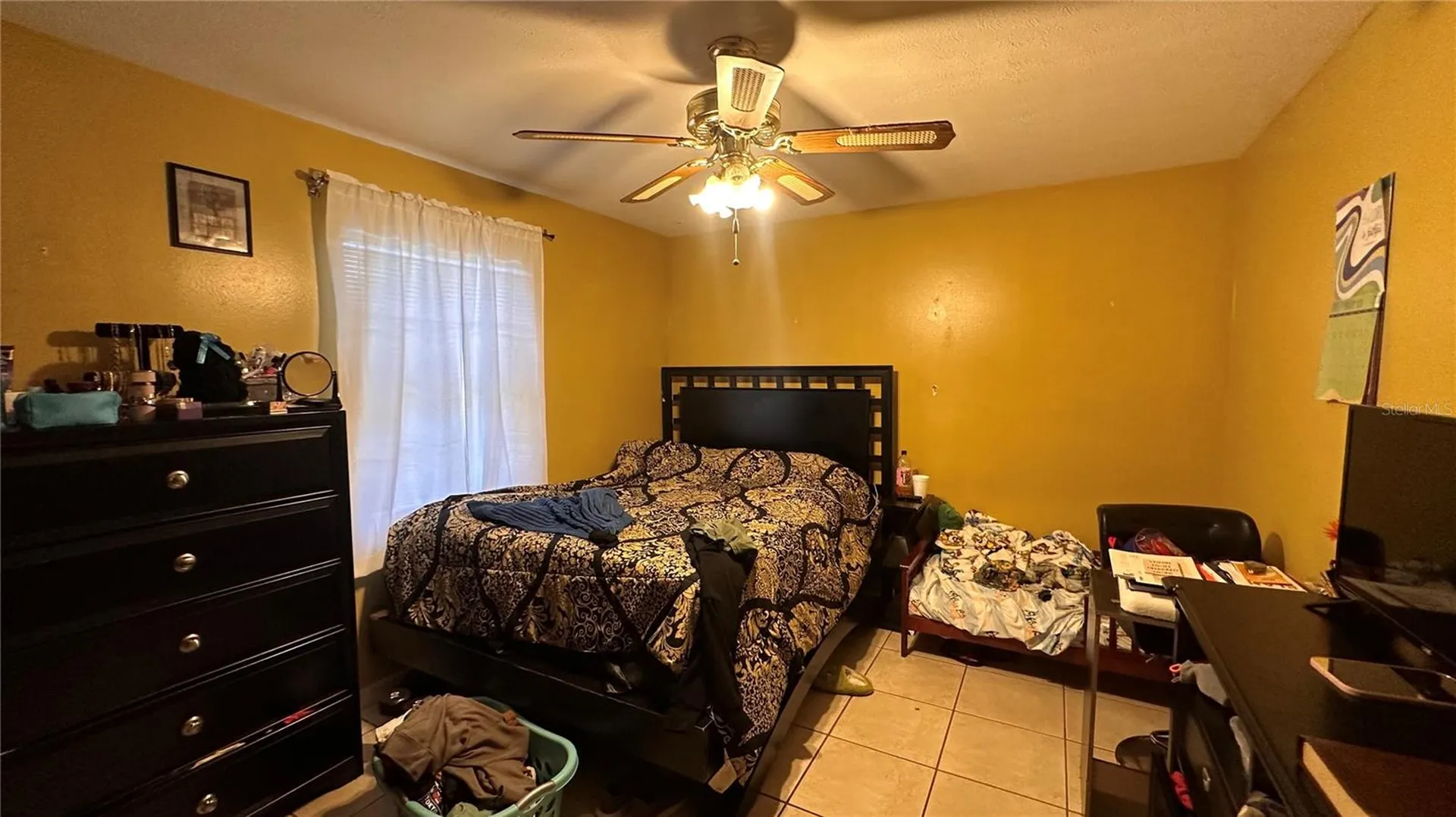 7012 Doreen Street Tampa FL 33617