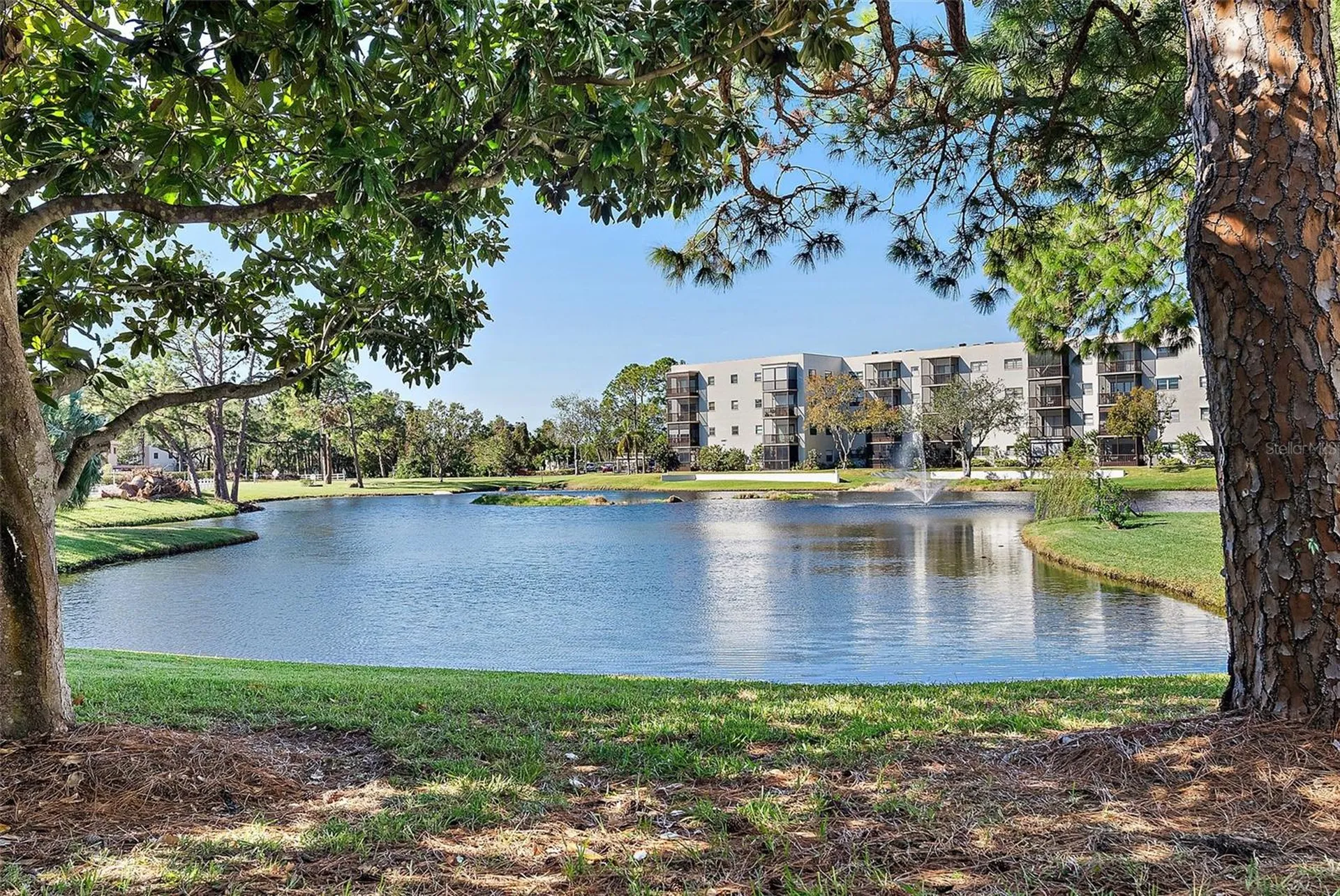 6188 80th Street N St Petersburg FL 33709