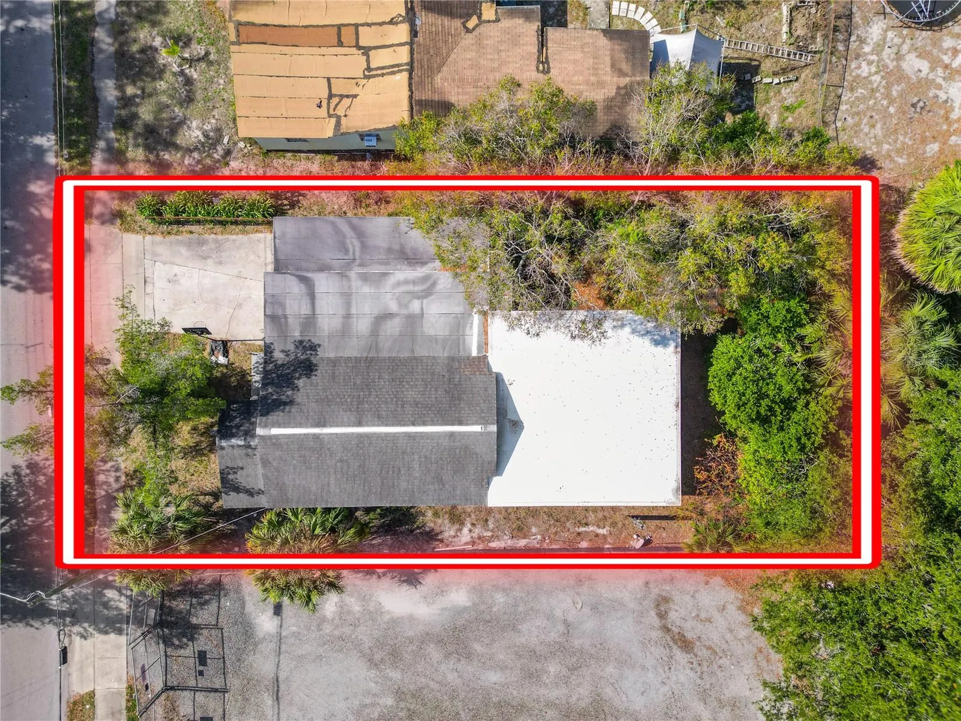 2910 E Emma Street Tampa FL 33610