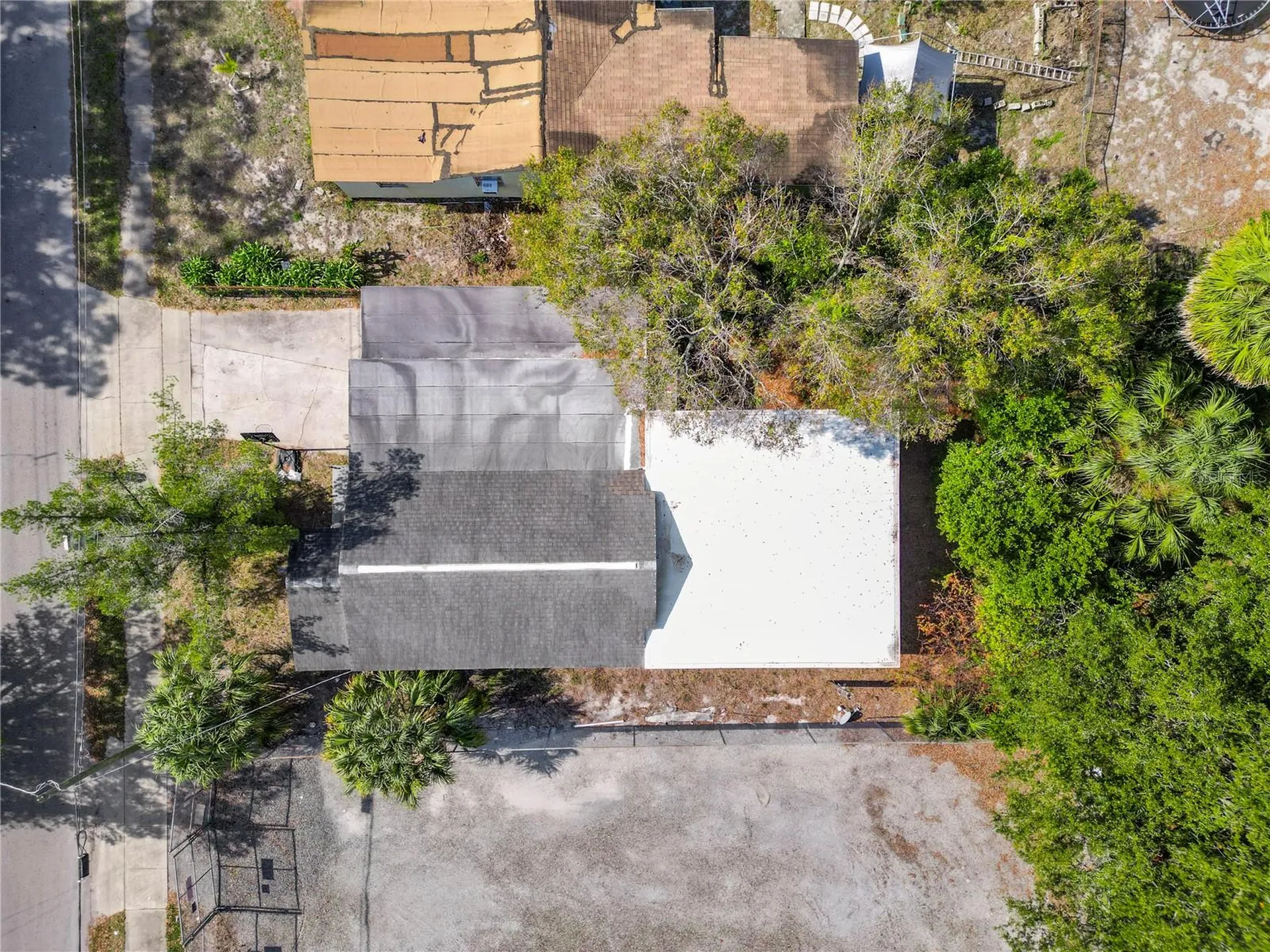 2910 E Emma Street Tampa FL 33610