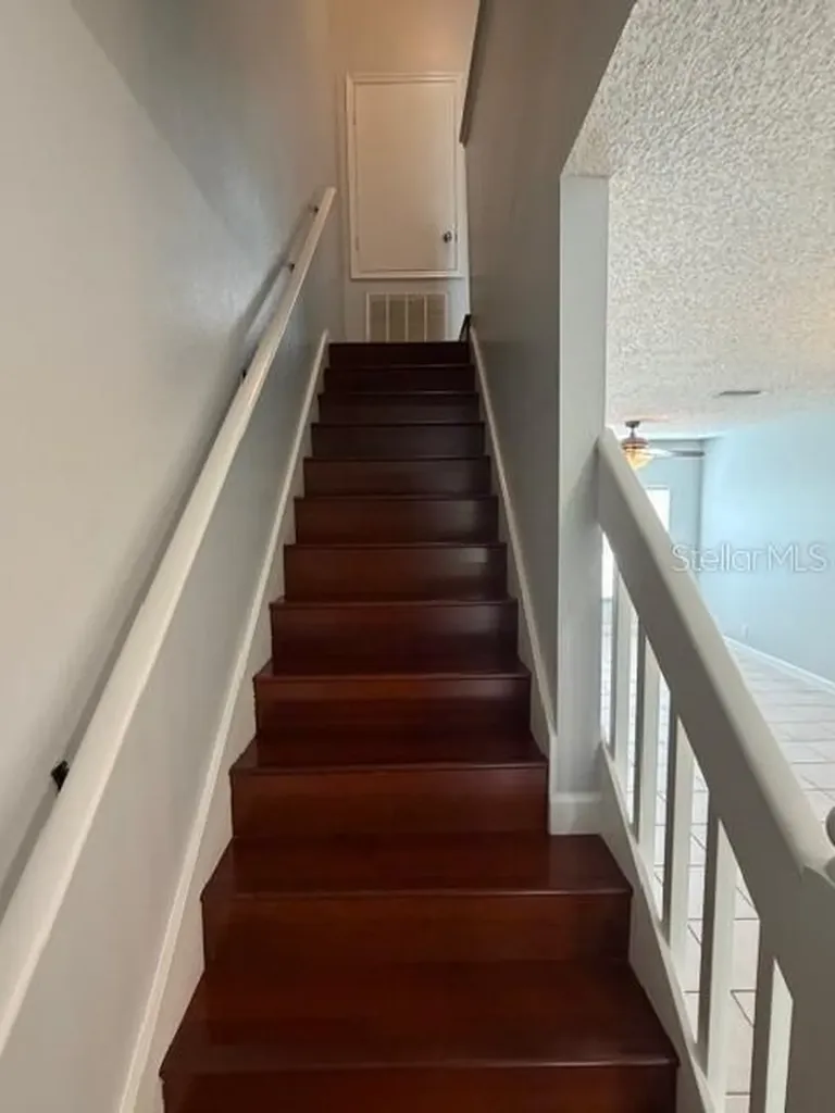 11310 Cayman Key Avenue Tampa FL 33624