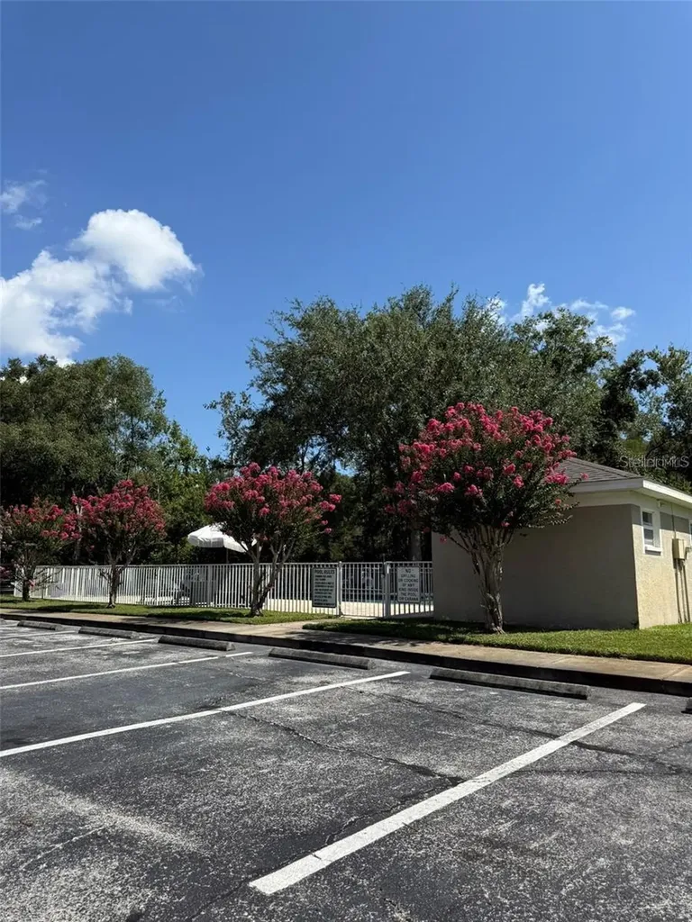 11310 Cayman Key Avenue Tampa FL 33624