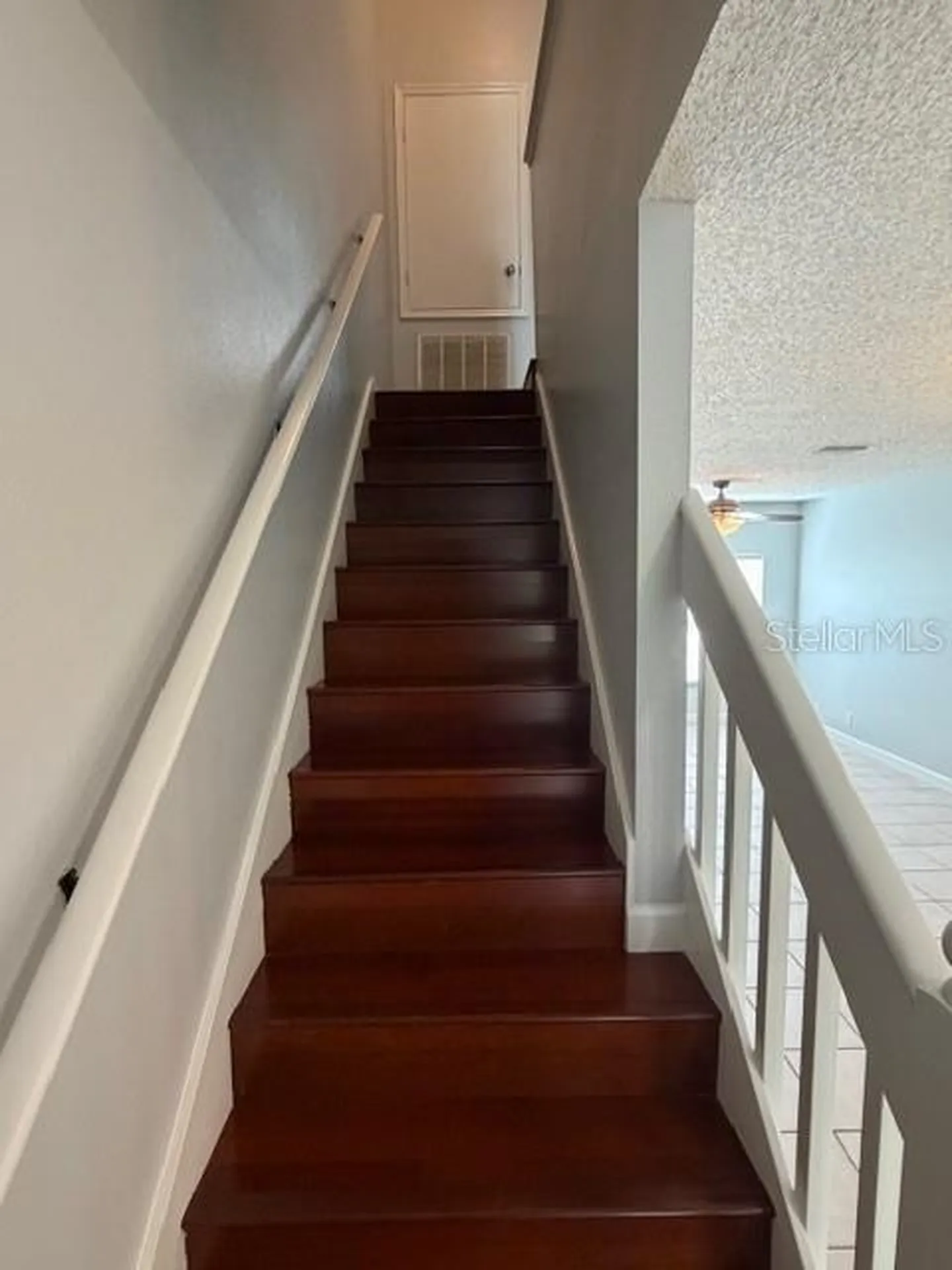 11310 Cayman Key Avenue Tampa FL 33624