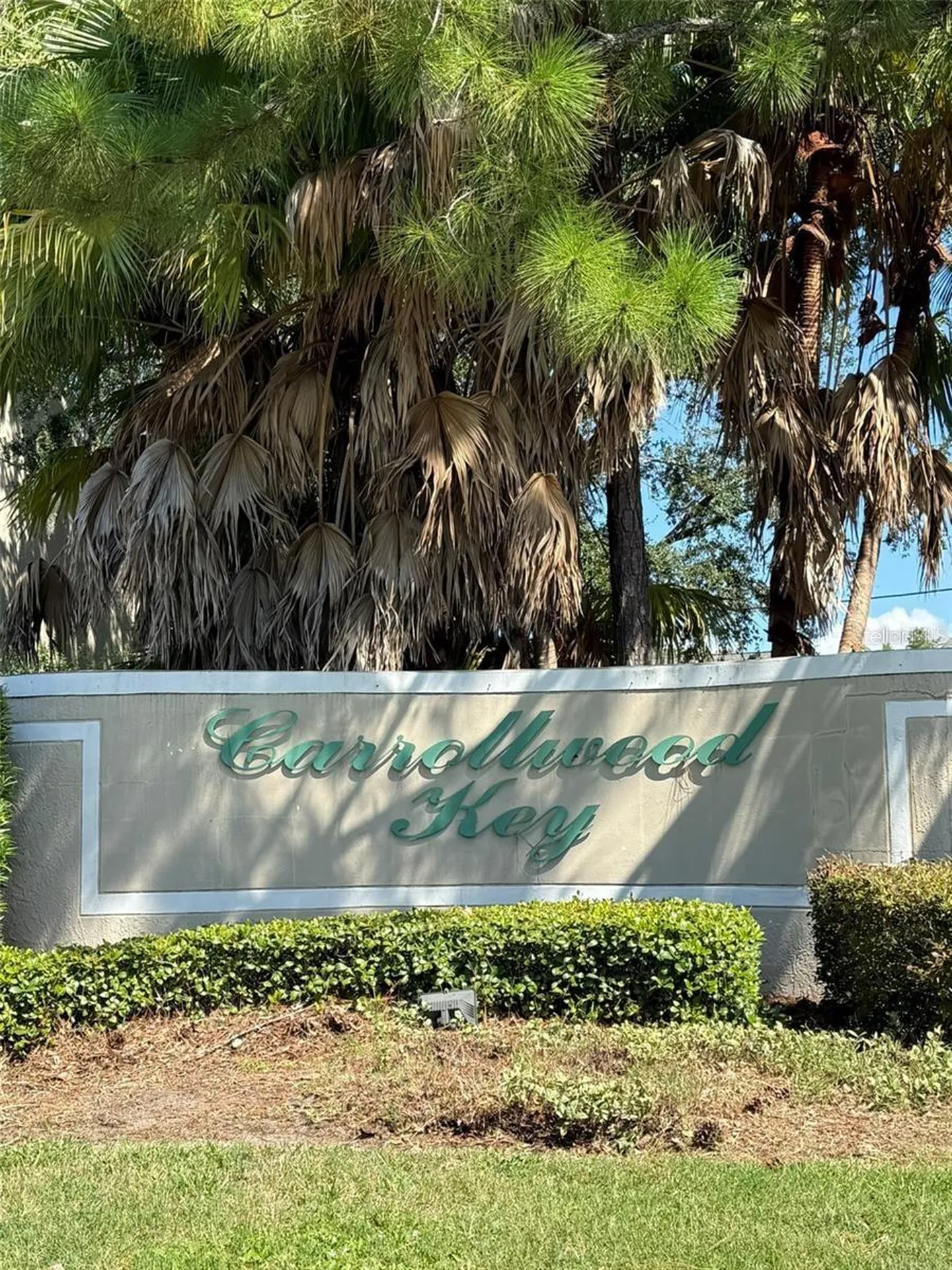 11310 Cayman Key Avenue Tampa FL 33624