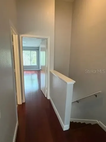 11310 Cayman Key Avenue Tampa FL 33624