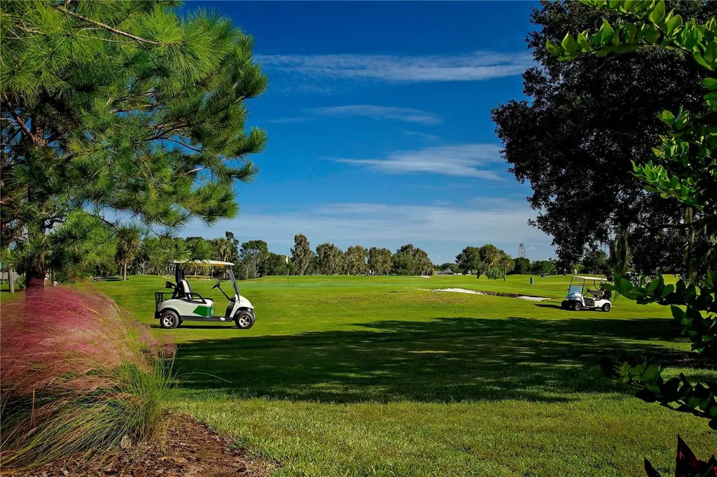 1908 Sterling Glen Court Sun City Center FL 33573