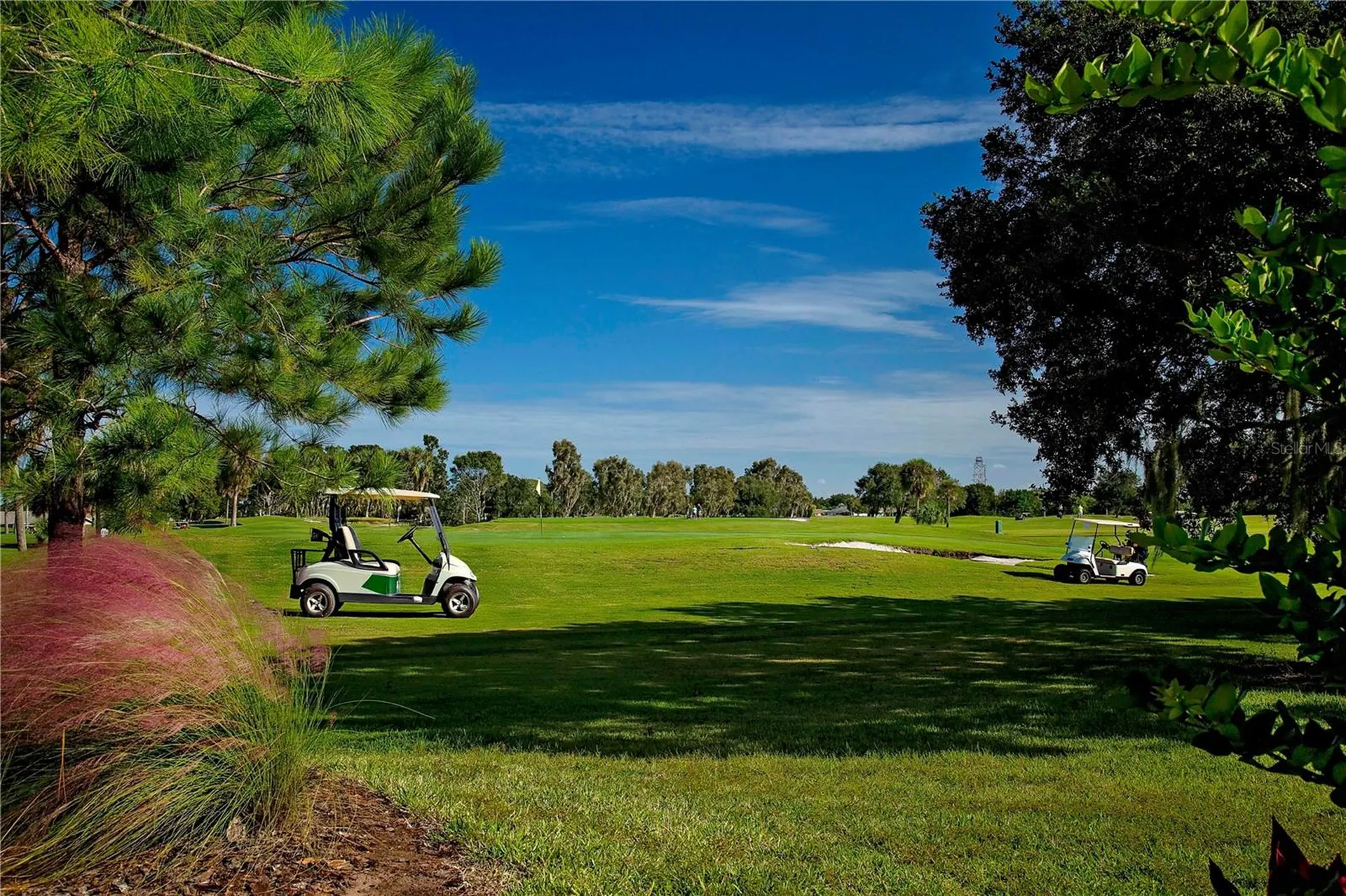 1908 Sterling Glen Court Sun City Center FL 33573
