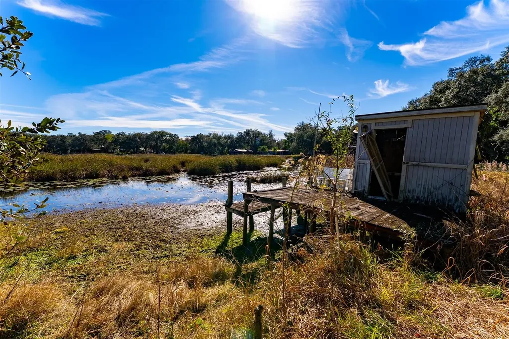 24971 NE 135th Street Salt Springs FL 32134