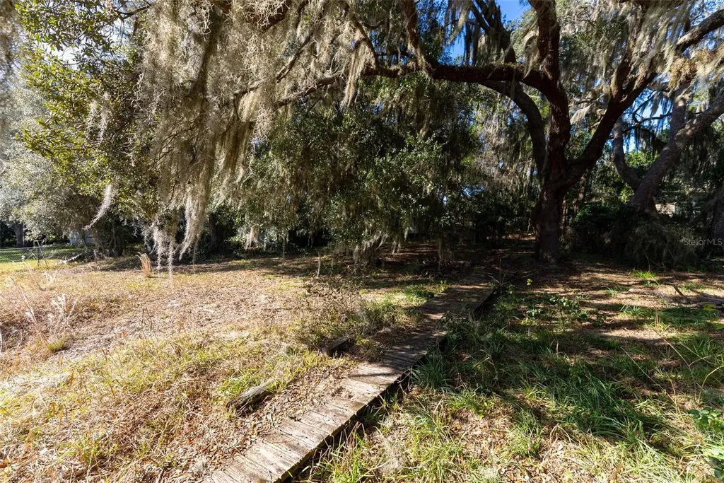 24971 NE 135th Street Salt Springs FL 32134
