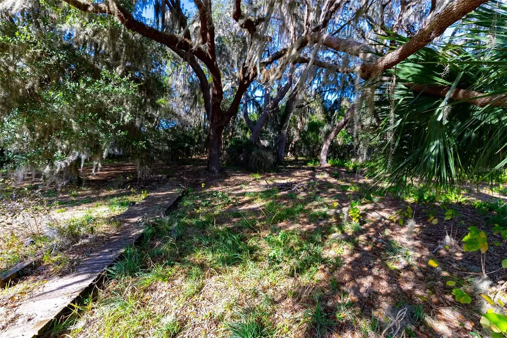 24971 NE 135th Street Salt Springs FL 32134
