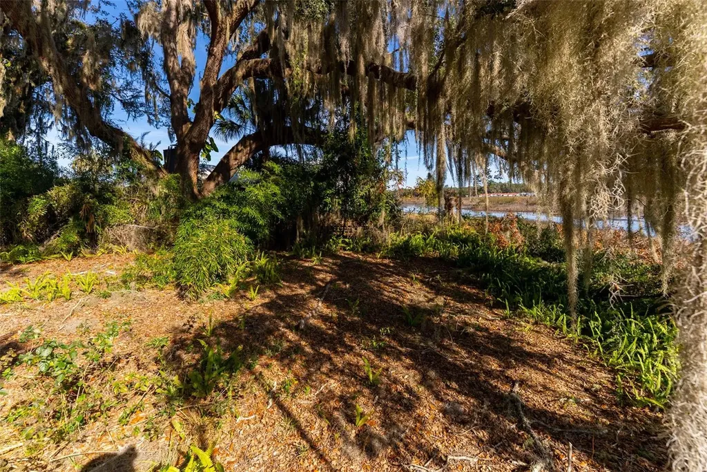 24971 NE 135th Street Salt Springs FL 32134