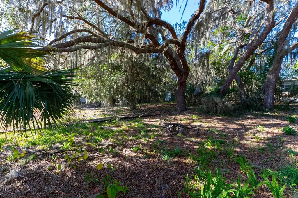 24971 NE 135th Street Salt Springs FL 32134