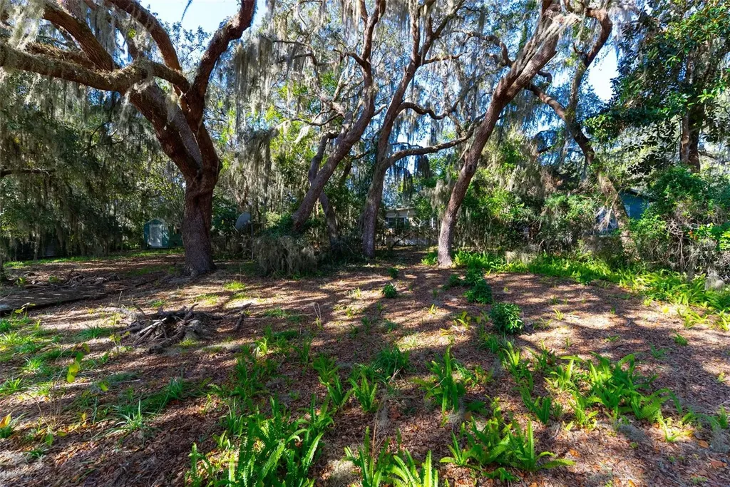 24971 NE 135th Street Salt Springs FL 32134