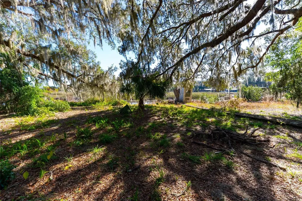 24971 NE 135th Street Salt Springs FL 32134