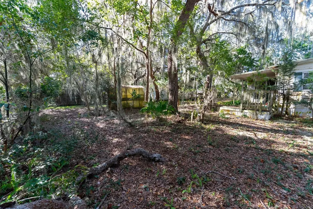 24971 NE 135th Street Salt Springs FL 32134