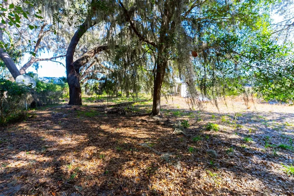 24971 NE 135th Street Salt Springs FL 32134