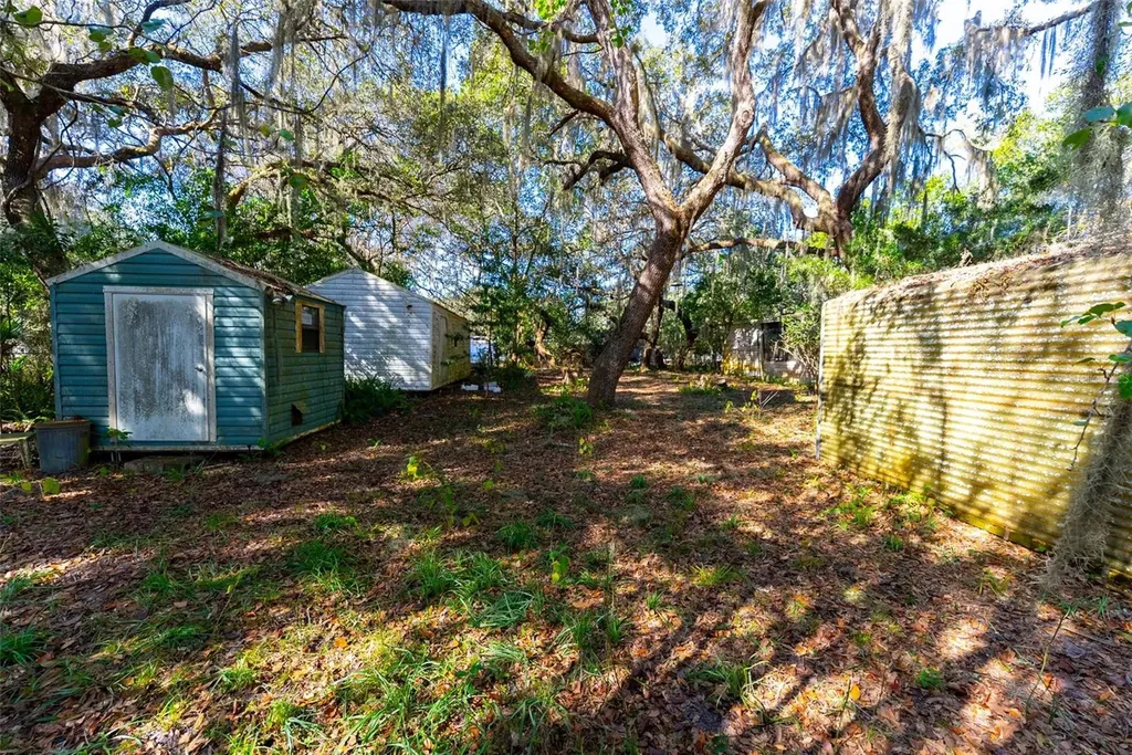 24971 NE 135th Street Salt Springs FL 32134