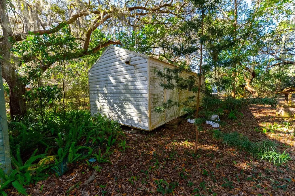 24971 NE 135th Street Salt Springs FL 32134