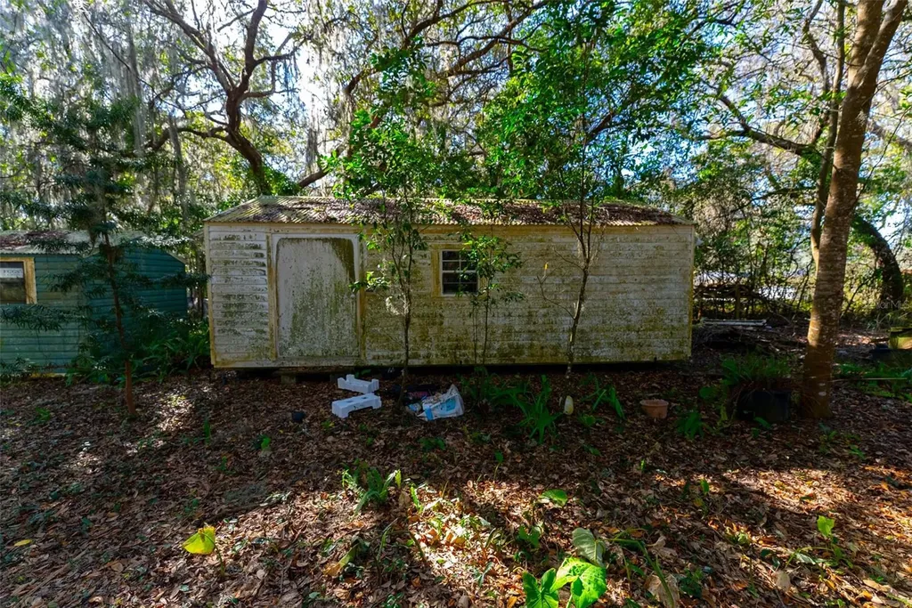 24971 NE 135th Street Salt Springs FL 32134