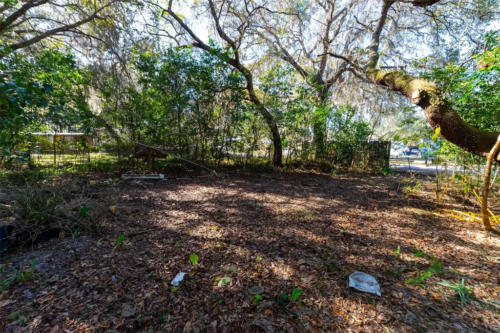 24971 NE 135th Street Salt Springs FL 32134